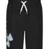 Under Armour Boys' Big Logo Volley Short (Little Kid, Big Kid)