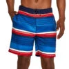 Speedo Men's 18" Bondi Basin Board Shorts