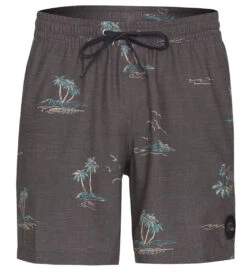 Quiksilver Men's 17" Mix Swim Trunks