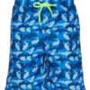 Boys' Camo Shark Swim Trunks (Little Kid, Big Kid)